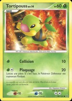 Carte Pokémon: Tortipouss