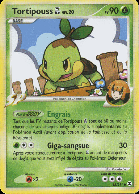 Carte Pokémon: Tortipouss GL