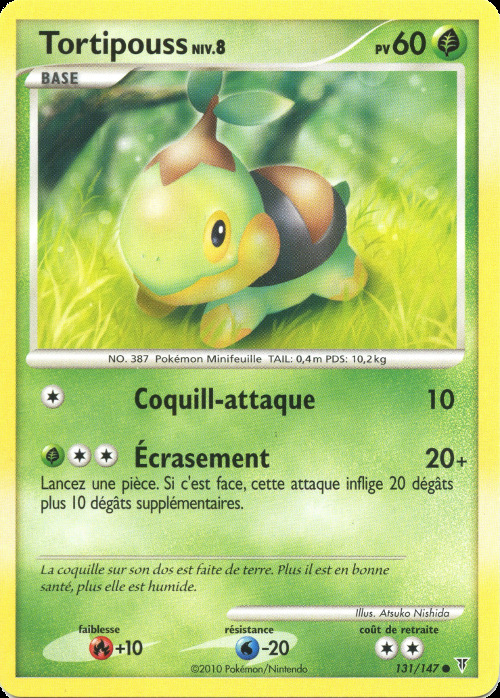 Carte Pokémon: Tortipouss