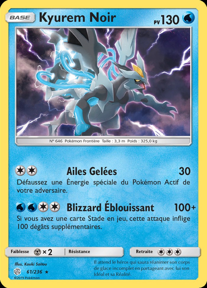 Carte Pokémon: Kyurem Noir