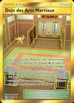 Carte Pokémon: Dojo des Arts Martiaux