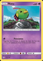 Carte Pokémon: Natu