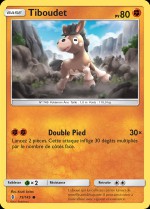 Carte Pokémon: Tiboudet