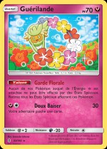 Carte Pokémon: Guérilande