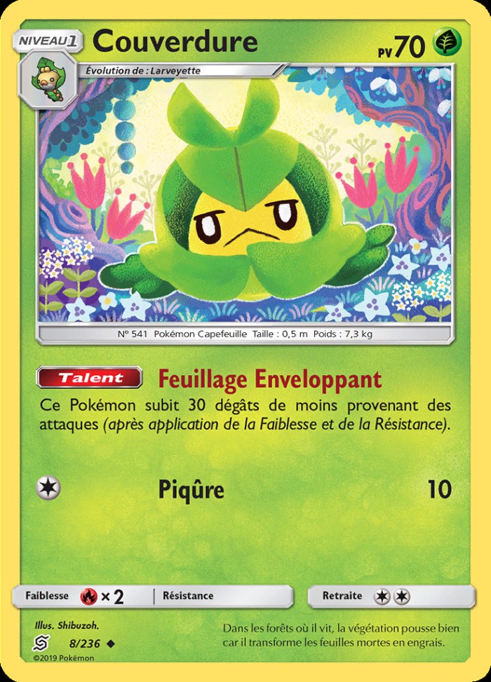 Carte Pokémon: Couverdure