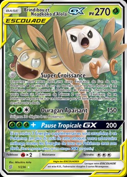 Carte Pokémon: Brindibou et Noadkoko d'Alola GX