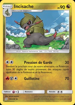 Carte Pokémon: Incisache