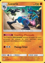 Carte Pokémon: Lucario