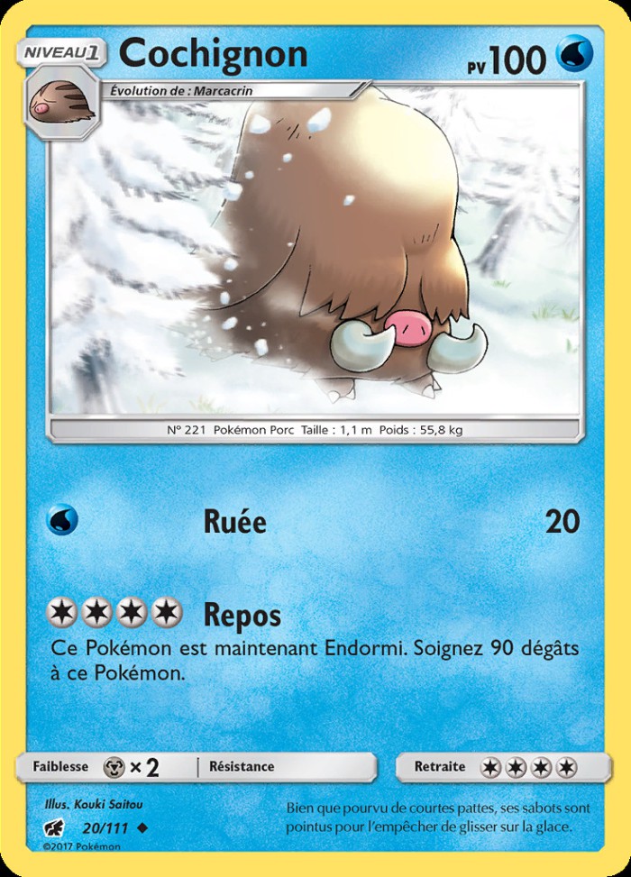 Carte Pokémon: Cochignon