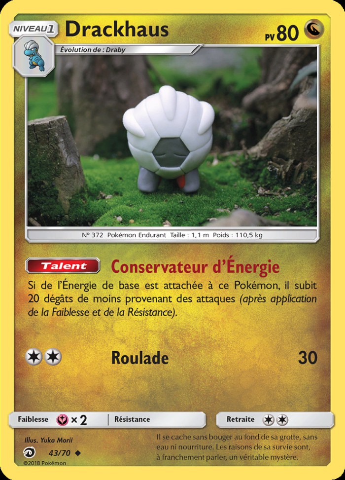 Carte Pokémon: Drackhaus