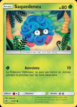 Carte Pokémon: Saquedeneu