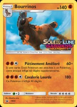 Carte Pokémon: Bourrinos