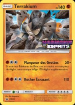 Carte Pokémon: Terrakium