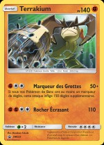 Carte Pokémon: Terrakium