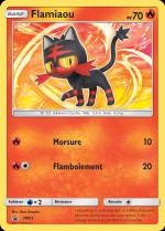 Carte Pokémon: Flamiaou