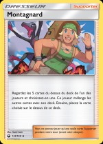 Carte Pokémon: Montagnard