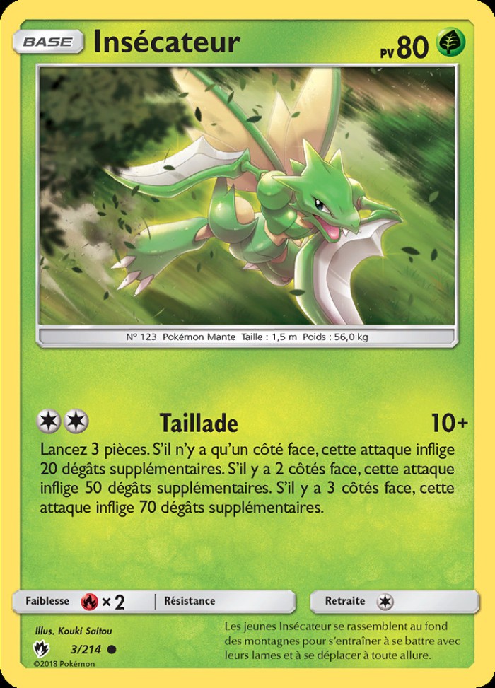 Carte Pokémon: Insécateur