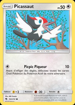 Carte Pokémon: Picassaut