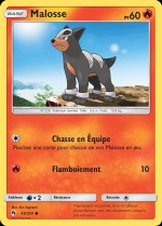 Carte Pokémon: Malosse