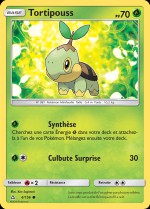 Carte Pokémon: Tortipouss