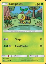 Carte Pokémon: Tortipouss