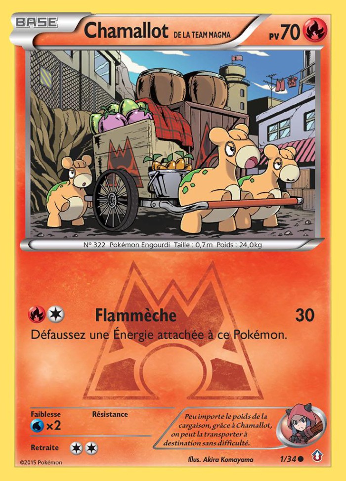 Carte Pokémon: Chamallot de la Team Magma