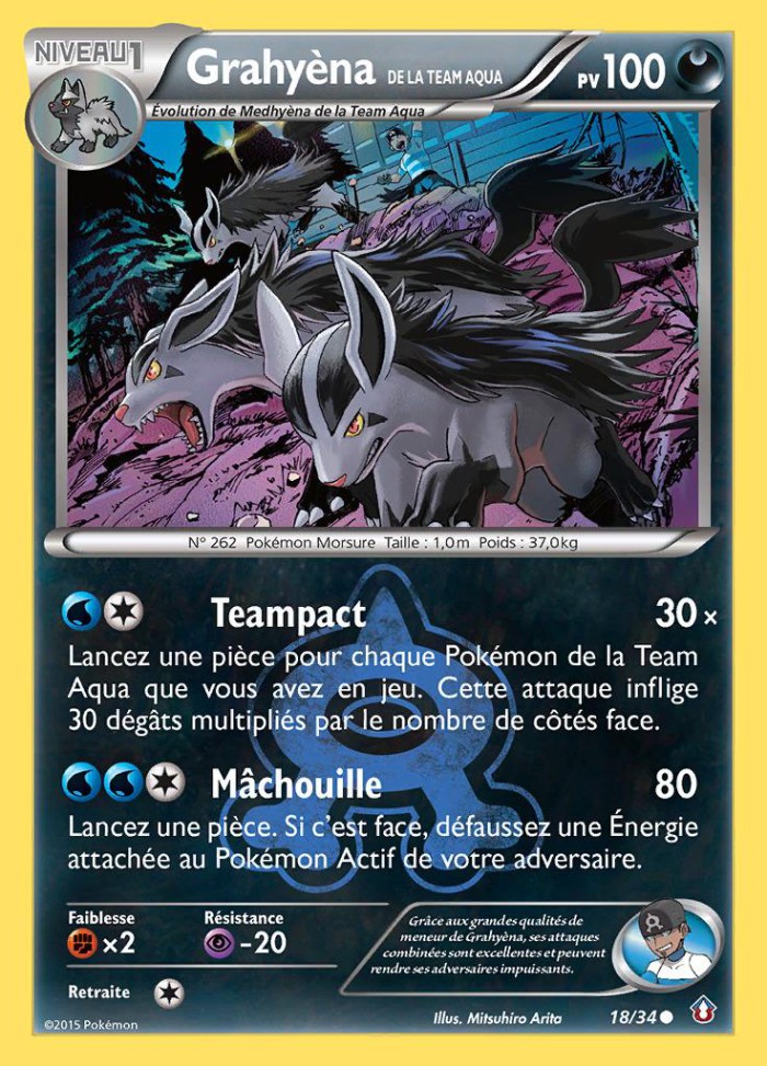 Carte Pokémon: Grahyèna de la Team Aqua