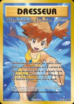 Carte Pokémon: Détermination