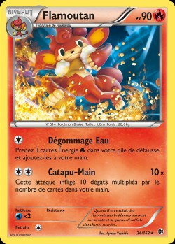 Carte Pokémon: Flamoutan