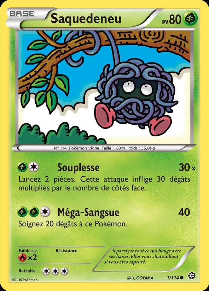 Carte Pokémon: Saquedeneu