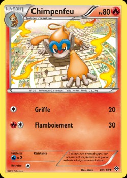 Carte Pokémon: Chimpenfeu