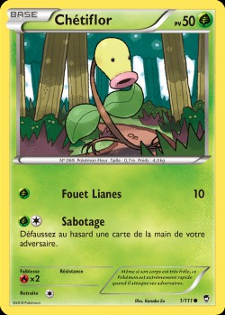 Carte Pokémon: Chétiflor