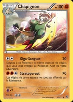 Carte Pokémon: Chapignon