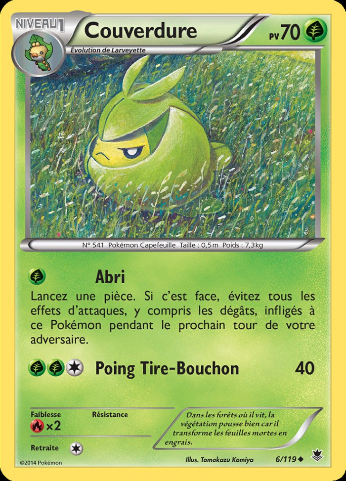 Carte Pokémon: Couverdure