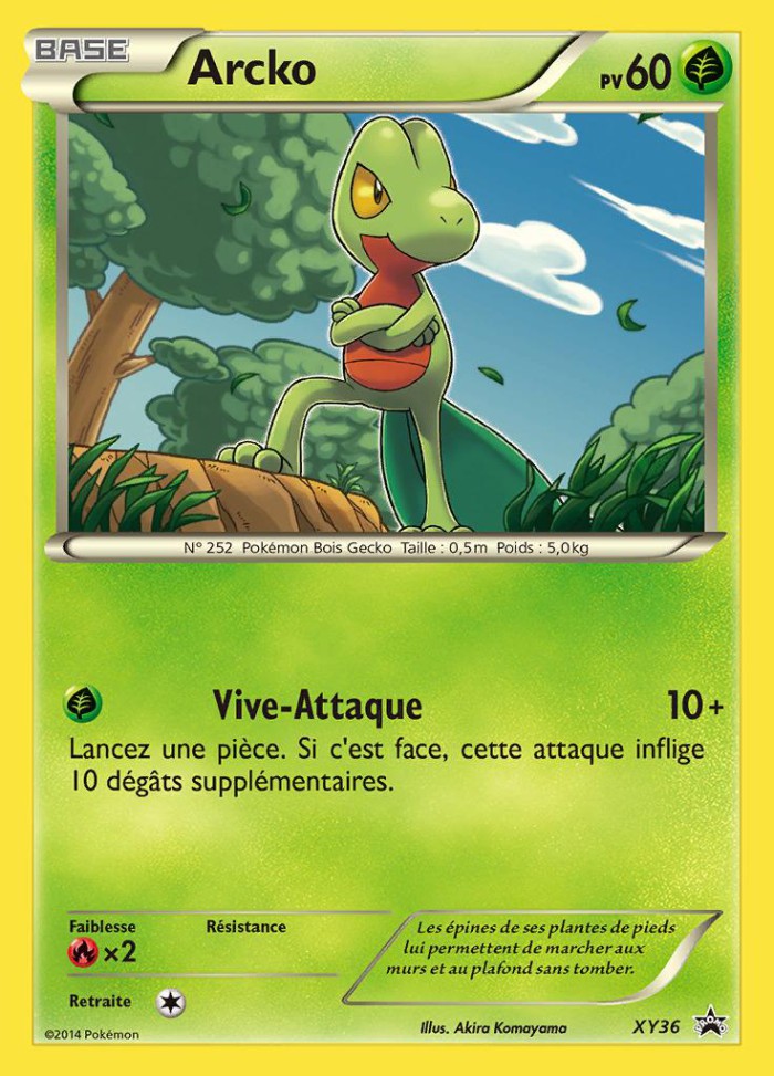 Carte Pokémon: Arcko