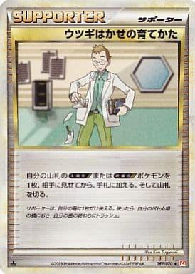 Carte Pokémon: ウツギはかせの 育て方 [Méthode d'entraînement du Prof. Orme]