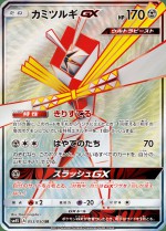 Carte Pokémon: Katagami