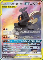 Carte Pokémon: Marshadow