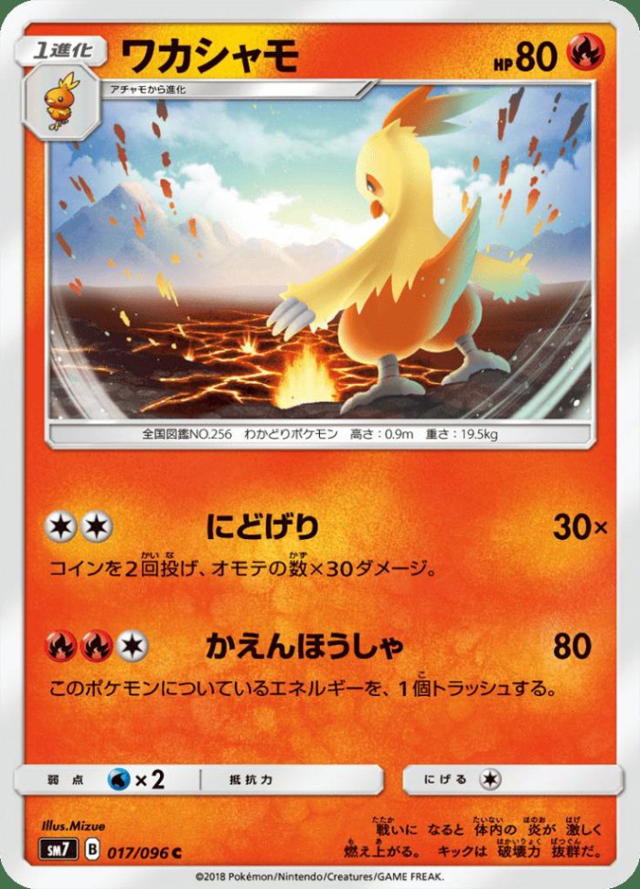 Carte Pokémon: ワカシャモ [Galifeu]