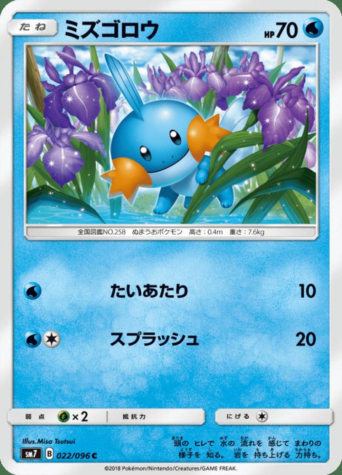 Carte Pokémon: ミズゴロウ [Gobou]