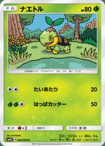 Carte Pokémon: Tortipouss