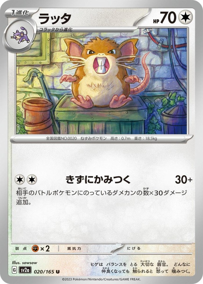 Carte Pokémon: ラッタ [Rattatac]