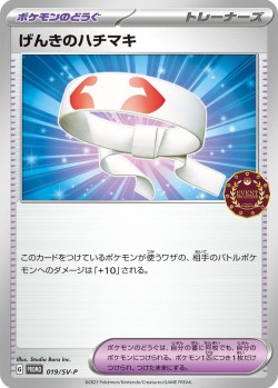 Carte Pokémon: Bandeau Vitalité