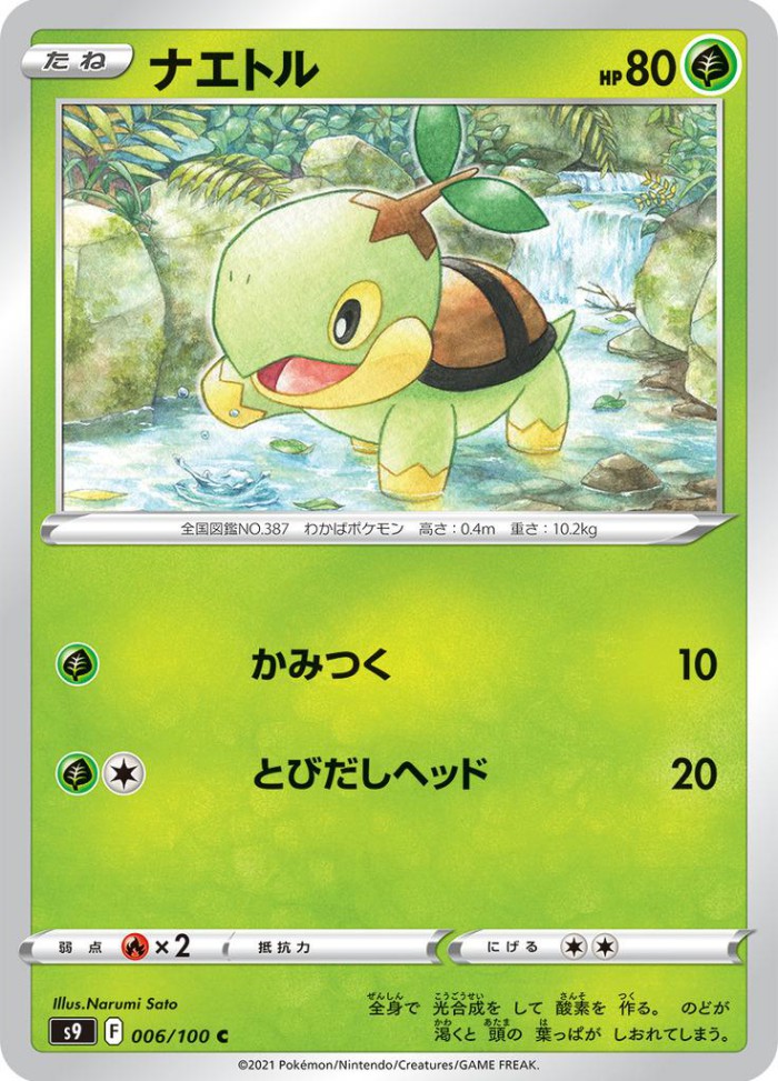 Carte Pokémon: ナエトル [Tortipouss]