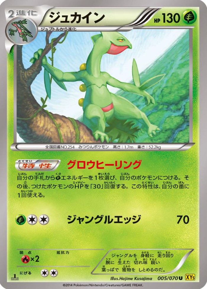 Carte Pokémon: ジュカイン [Jungko]