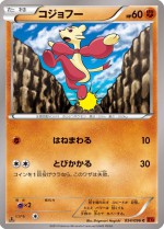 Carte Pokémon: Kungfouine