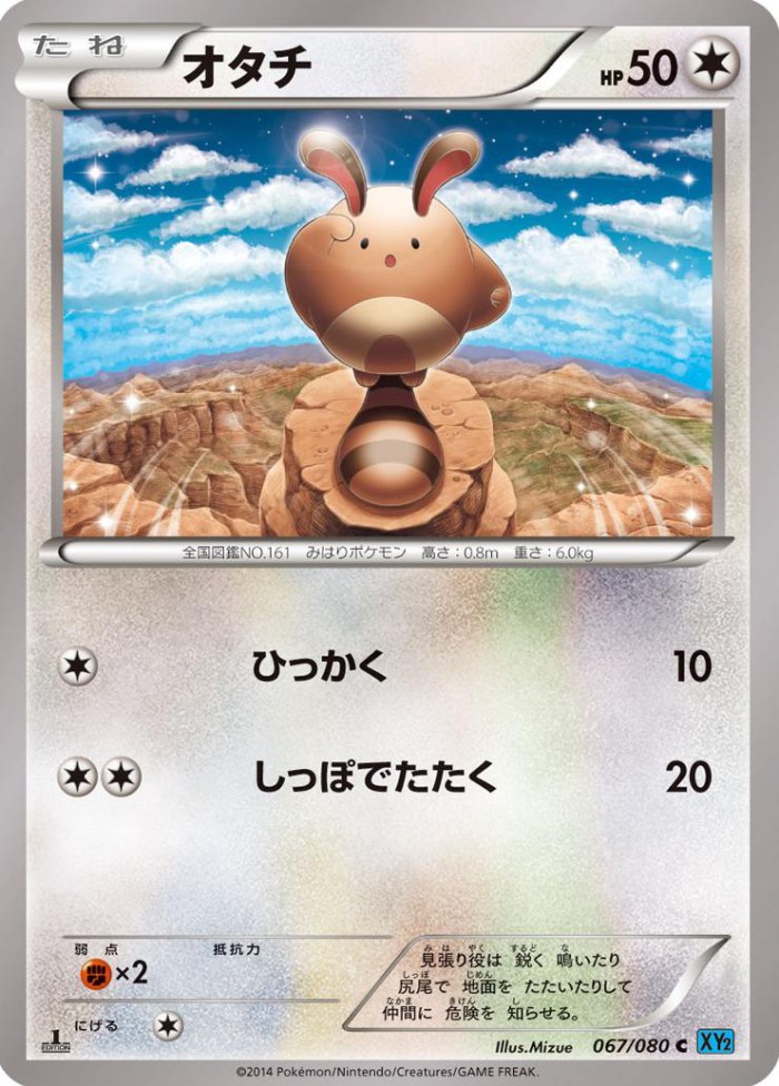 Carte Pokémon: オタチ [Fouinette]